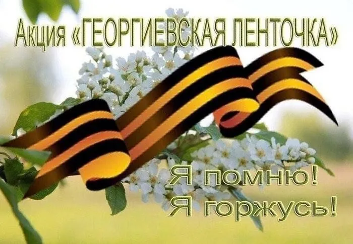 image (47)